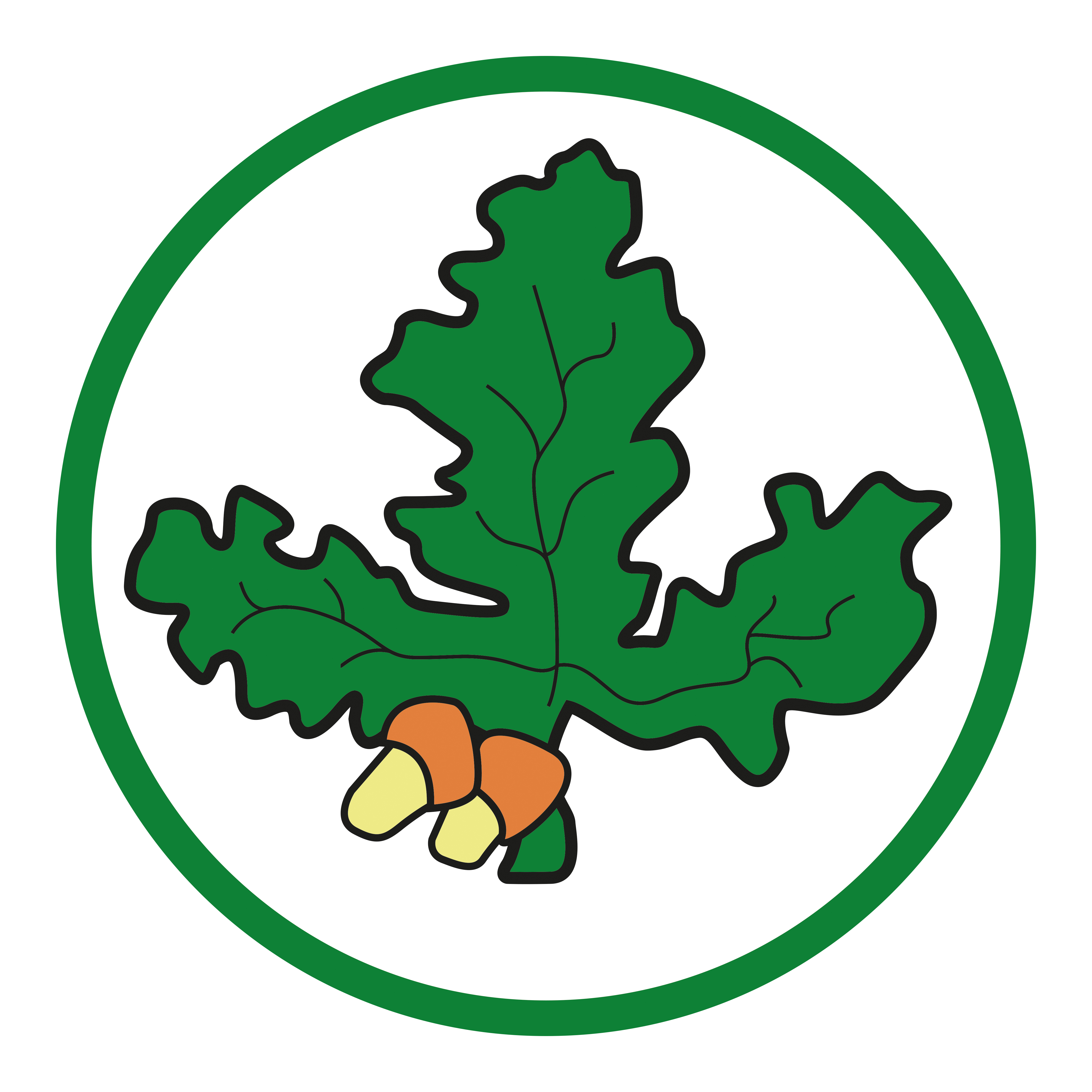 Copy of LOGO - MERLEY FIRST.jpg